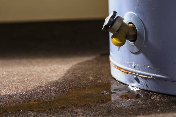 Best Water damage restoration near me  in Markham, IL