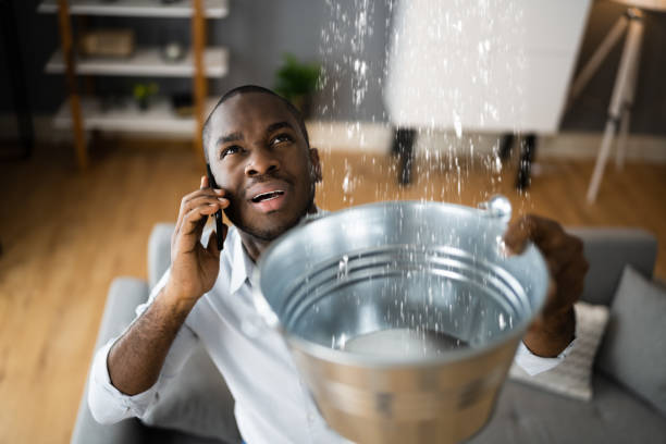Best Water damage restoration process  in Markham, IL