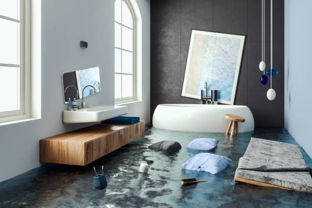 Best Flood damage cleanup  in Markham, IL