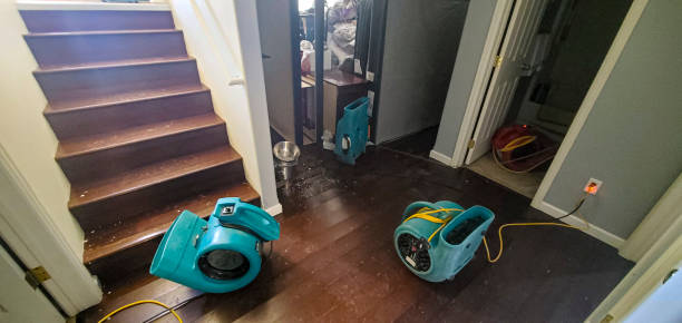 Best Commercial water damage restoration  in Markham, IL