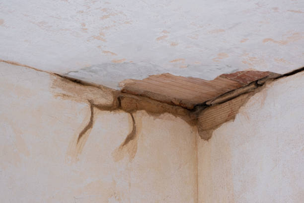 Best Water damage cleanup near me  in Markham, IL
