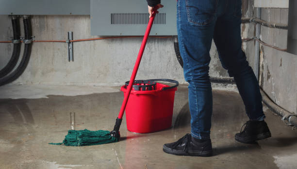 Best Emergency water extraction  in Markham, IL