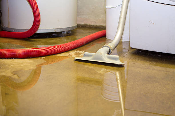 Best Carpet water damage restoration  in Markham, IL