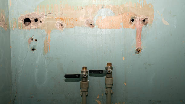 Best Sewage cleanup and water damage restoration  in Markham, IL
