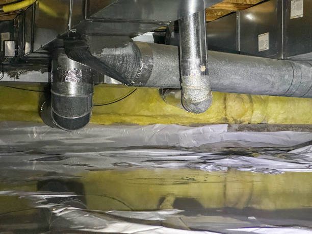 Best Flooded house restoration  in Markham, IL