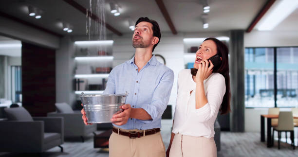 Best Local water damage restoration  in Markham, IL