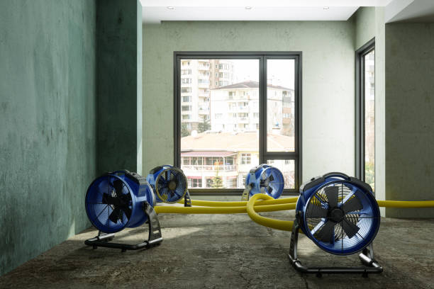 24/7 water damage repair in Markham, IL