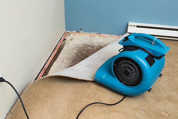 Best Water damage restoration near me  in Markham, IL